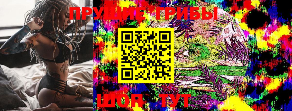 Псилоцибиновые грибы Psilocybe  Вход с VPN  Кудрово 